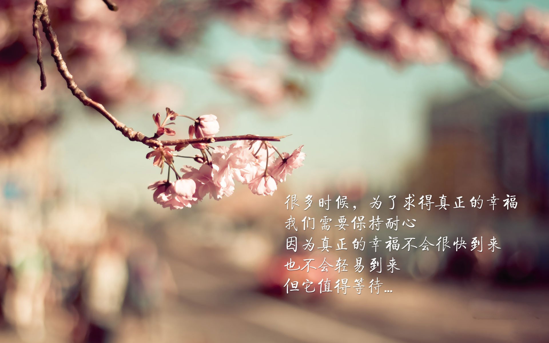 乒乓球技巧挑战赛成短视频热点话题,乒乓球比赛视频解说