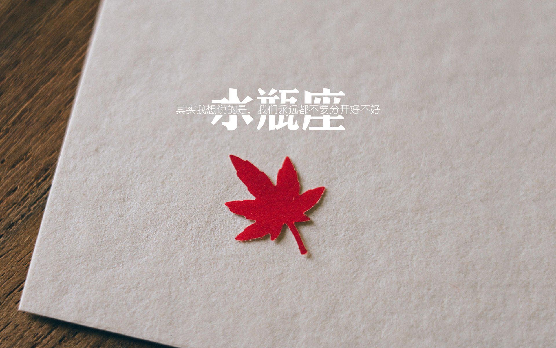 体育新闻中心协助高校开展体育新闻融合教学改革,体育学院新闻稿