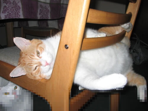 奥运备战加入睡眠质量监控提升恢复效率,奥运无法入睡