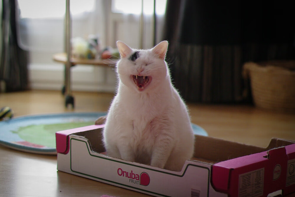 如何通过节奏变化拉扯防守重心，怎么才能把节奏练准