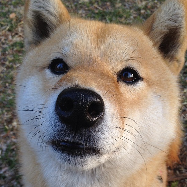 替补球员在快节奏中是否能打出更高效率，替补球员在快节奏中是否能打出更高效率的球
