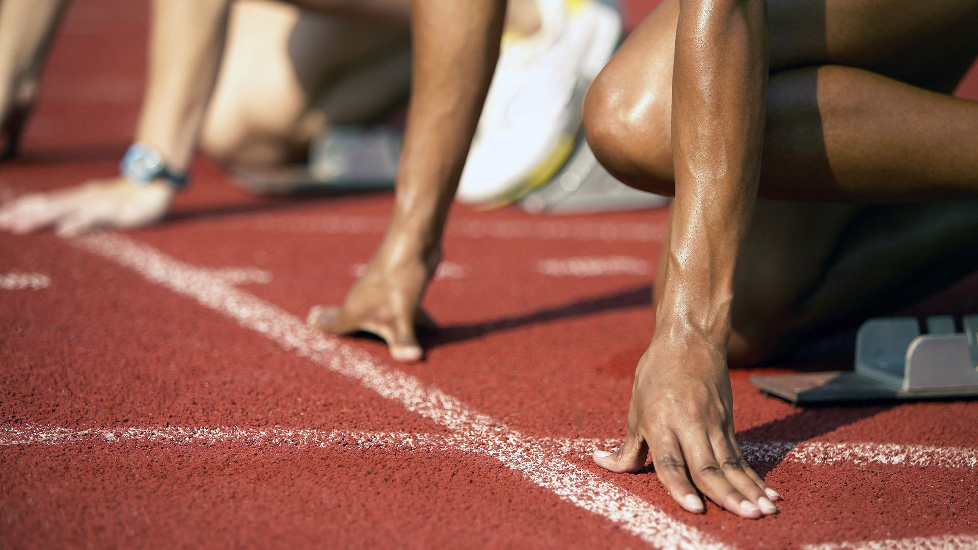 自由泳技术指标雷达图首次公开，自由泳专业术语