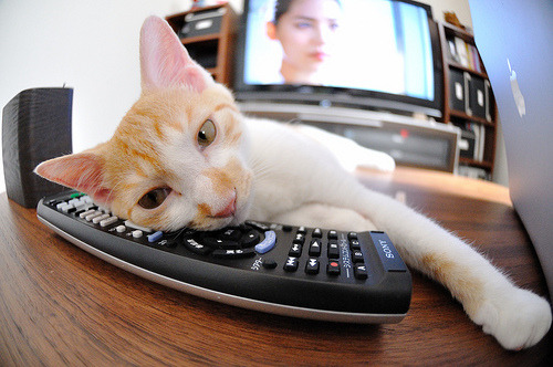 丁俊晖单杆破百淘汰世界冠军，丁俊晖获得冠军