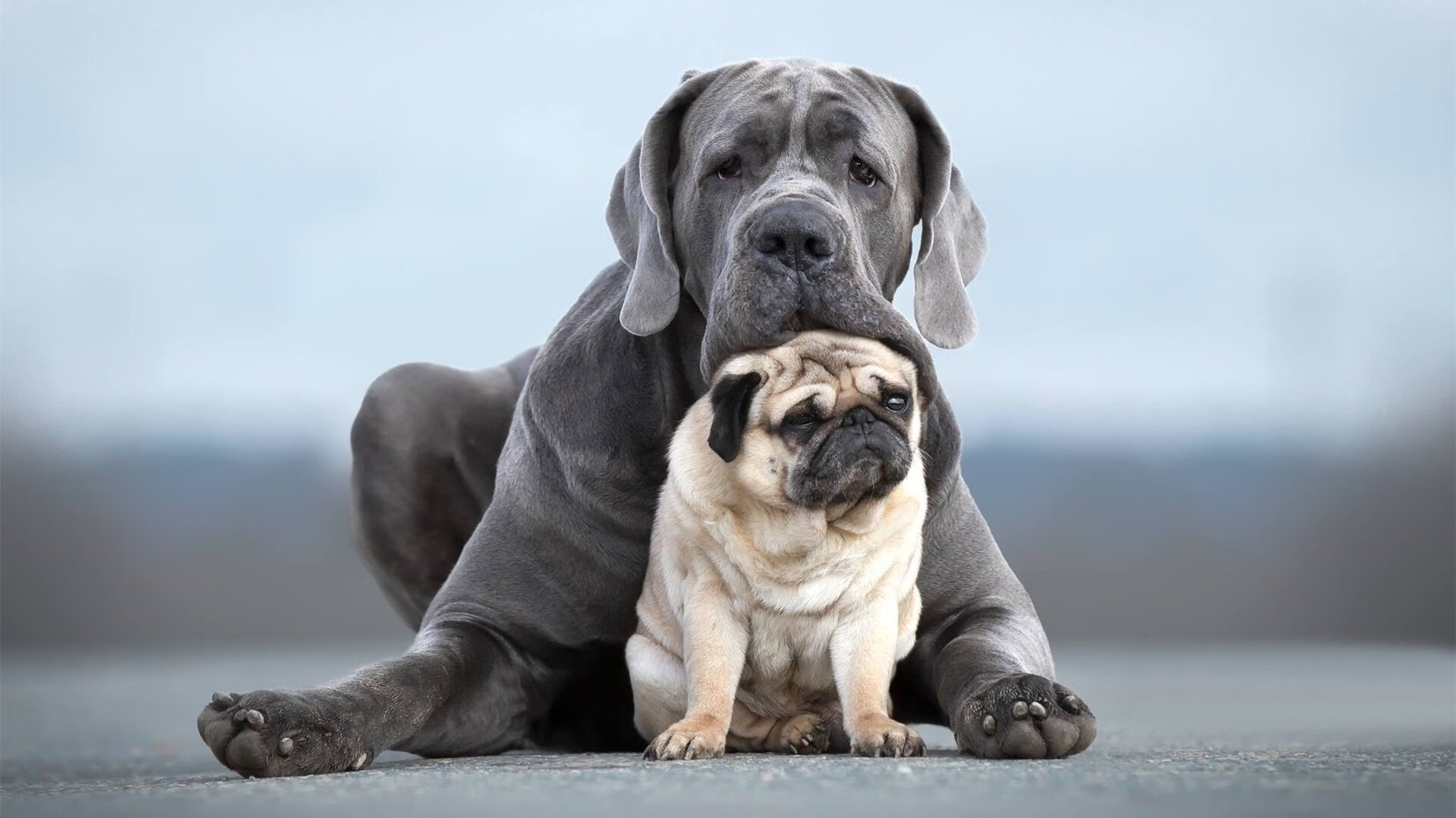 中国篮球试行多岗位轮训机制发现复合型人才，中国篮球培训