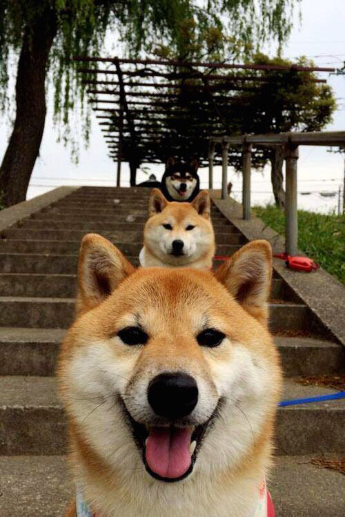 中国足球青少年足球训练引入数据可视化工具,中国青少年足球训练大纲